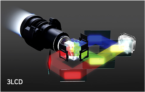 ������ ������ ���̴� �̹���