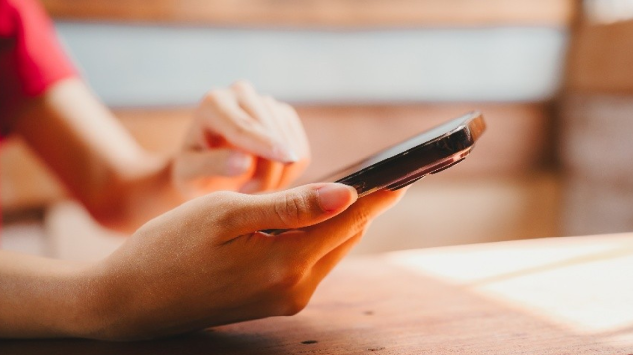 ����Ʈ�� ����